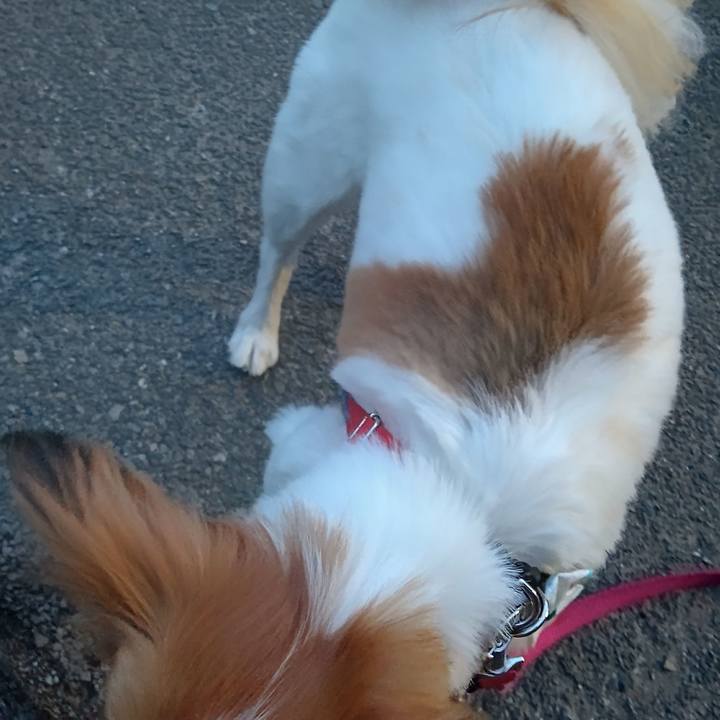 05cb8be2 ddfb 4263 aa31 5cd72205cc0c 1655256614969