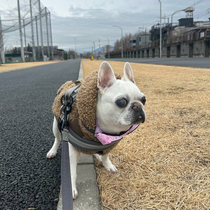 05cbb776 fac7 4814 bcca 310fab87d053 1770795595115