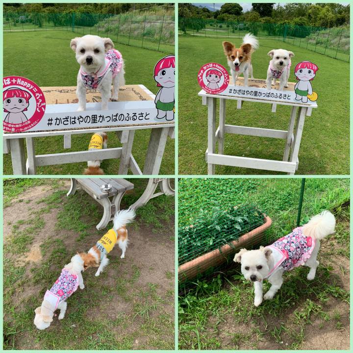 05cbf486 b142 4a04 84a2 fb1baac4038b 1622619172743