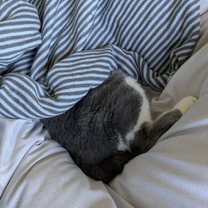 05cc206d 4c80 4d87 9199 9d7aa1a7ac4b 1771475510907