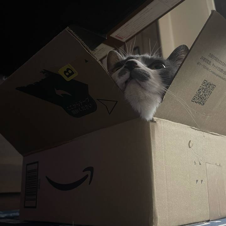 05cc343e 29c6 4e82 be1a 840f0f7e2c26 1714137018915