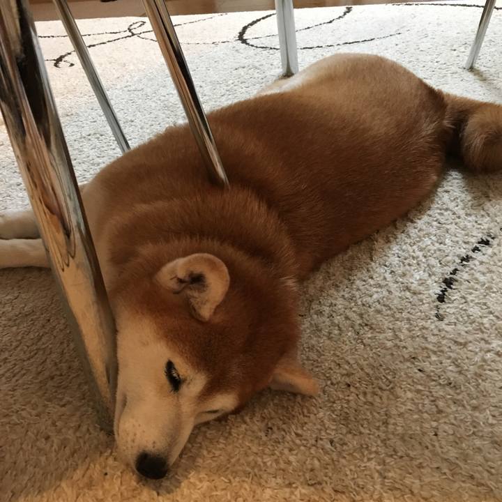 05cc4b7c db61 4c85 8f92 0b48116606c5 1529420586157