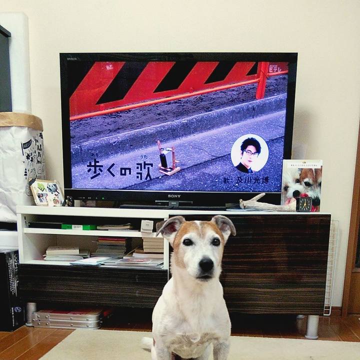 05cc8220 d8e0 4db3 8a5d af3cb6b651d9 1568067617464