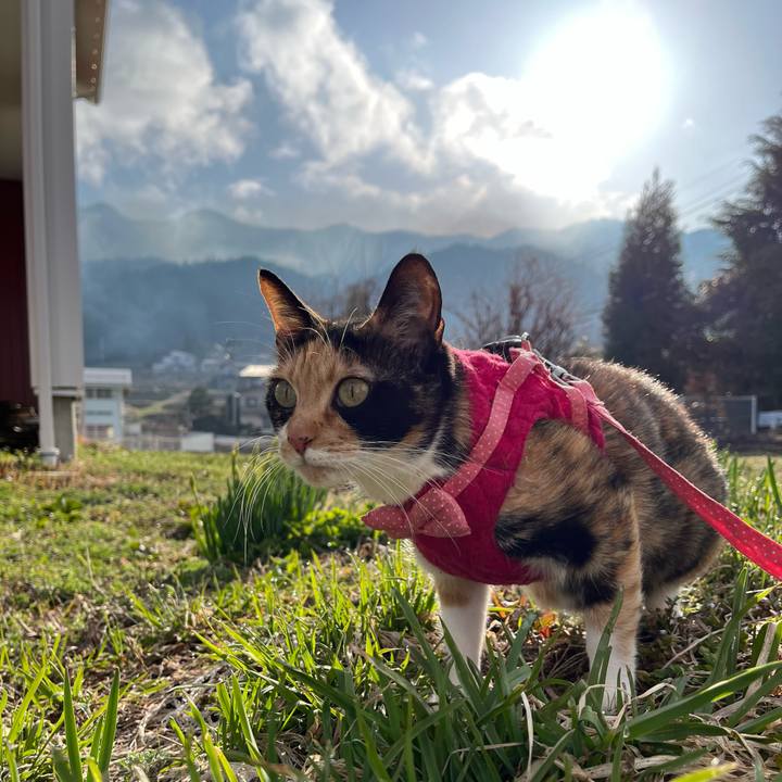 05cc8fbc 4a76 42dc 9066 81fc8501ace9 1649115108723