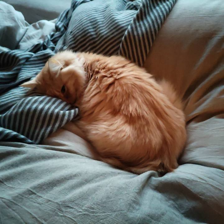 05ccc7aa 379d 4586 a495 85db939d6dec 1703628148964