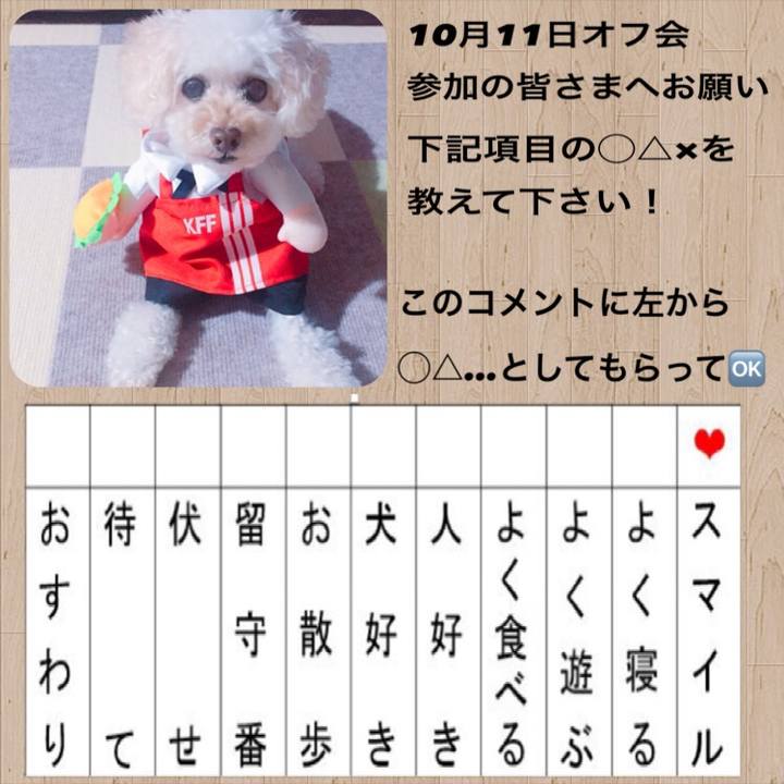 05cd03ff a1da 4979 8c3c 0b985d84cf2a 1536981014097