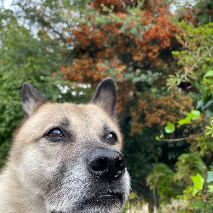 05cd2a89 8a01 4c28 9884 8bf12e46b0c5 1729252728853