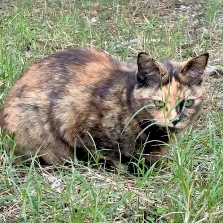 05cd5a01 d712 4b7b 9109 90b5d7820193 1762051750624