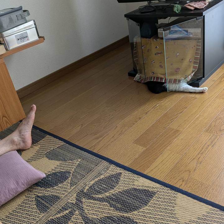 05cd6132 aad0 44af 8884 89fe4e2e1e0f 1728436264437