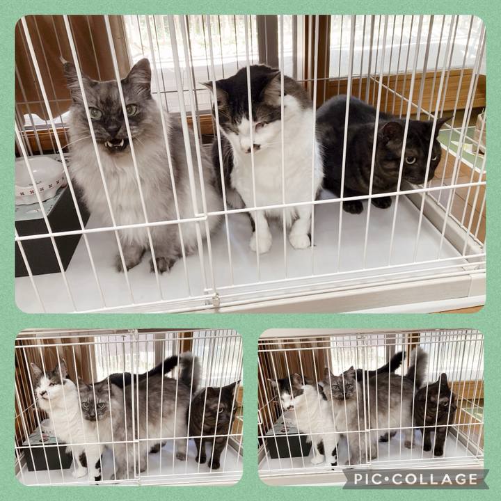 05cd65b8 c553 45b6 916a f993fe7cdbb7 1714171767856