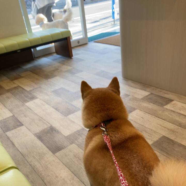 05cd736c a387 4b25 8100 28ccffc329aa 1626991590392