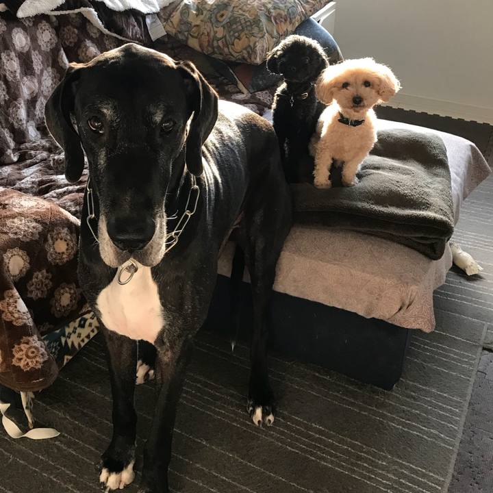 05cd8fbd 977b 4958 8b99 7dd8d2a6f7e9 1513724354363