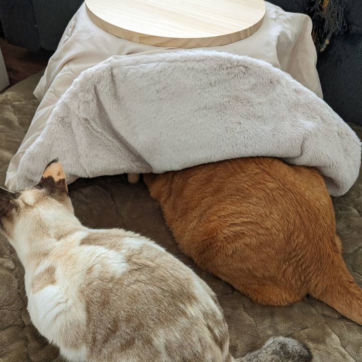 05cdb33c 88c7 4e80 9181 0b70688c4a32 1764569438730