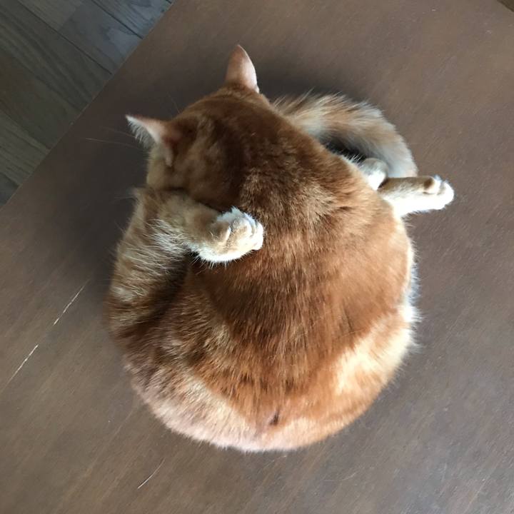 05cdbed2 bdbb 4f7c b602 3f010eabca5a 1567379828028