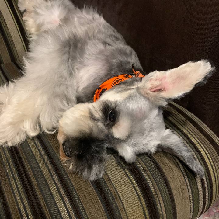 05cdd588 e69e 467b ab44 a046839c1efb 1634388640642