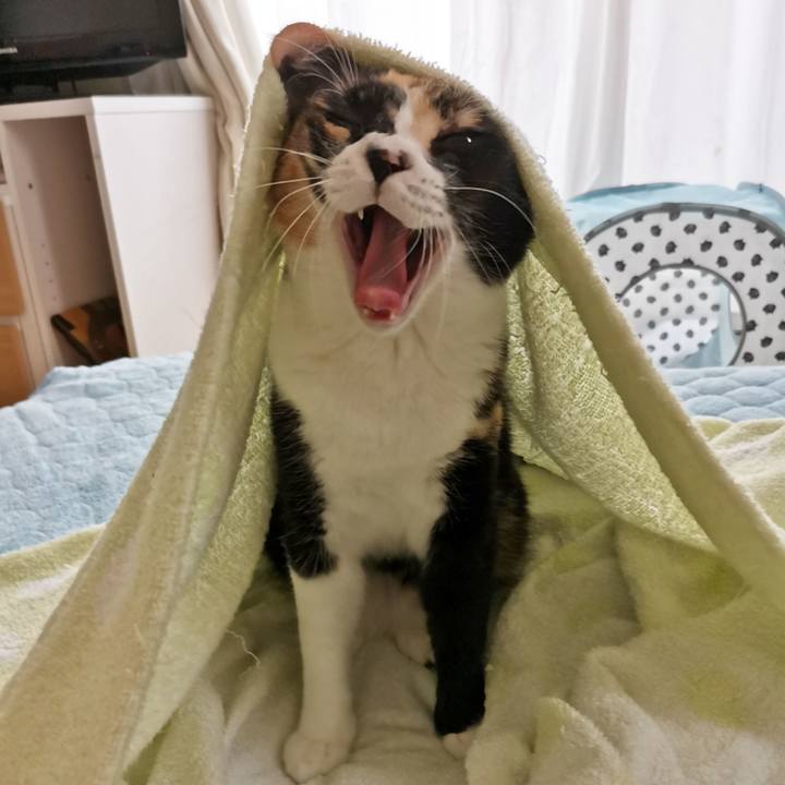 05cde9f0 8008 4e10 854b 9a29ebe566f5 1632128821564