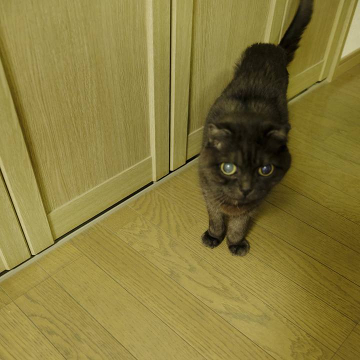 05ce0828 e1bb 4ce7 9699 7933846284e4 1641437366001