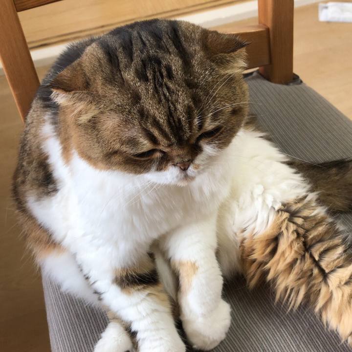 05ce1397 c3b8 4d97 9ea1 aa8143b704b4 1537668165584