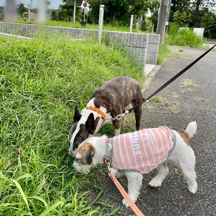 05ce36ad 4d47 4927 937a 1b28030f74fe 1629545112887