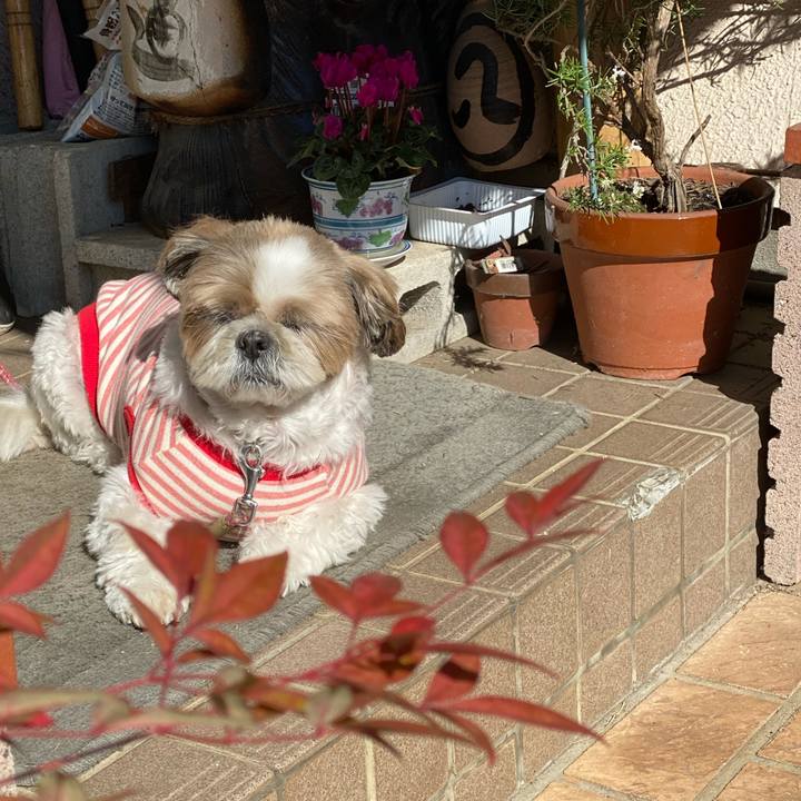 05ce37bc a30f 4573 8cea e03dd785e43d 1636165383041