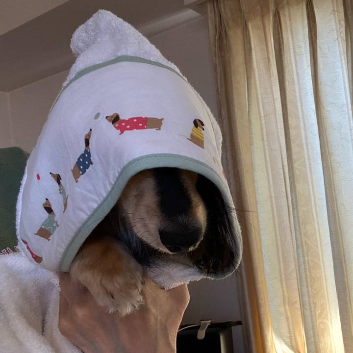 05ce3c5b 1545 4f9c 9cdc 7e1a5737cd7c 1740014352827