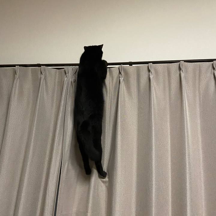 05ce6128 5bc8 4256 93cc f16129b654f5 1653662058400