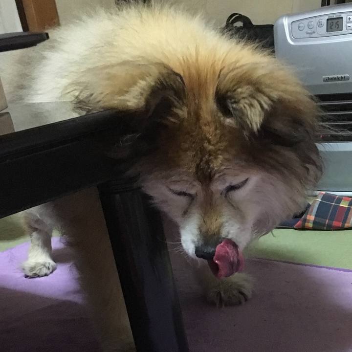 05ce6f1b 3c2f 4d18 ae1c 698283718ef6 1591085676744