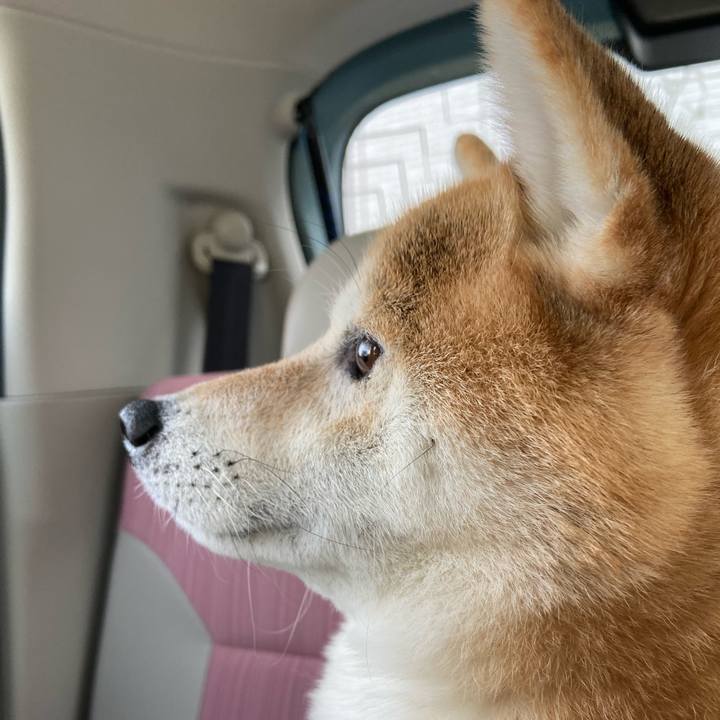 05ce918c 7bd6 4dc5 b287 4ce81eca74a4 1639490956427