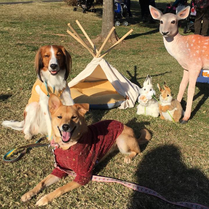 05ce91e1 f563 43a5 bff7 2ee1000b63da 1510488983794