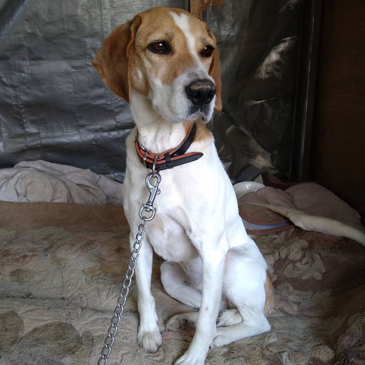 05ceade2 2848 43e4 9502 31d93febe58a 1653631262457