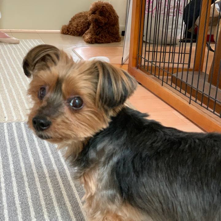 05cebb2e 6d2a 4561 9c31 a02a25c2bfcb 1620118046434