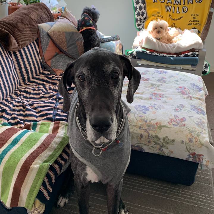 05cec318 ec32 413a bd0e ec9a4f4237d4 1586817703093