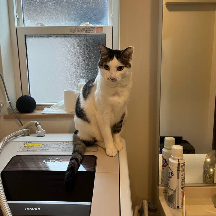 05ceedec d36b 4f41 acd1 f26cb9437c7e 1700177388904