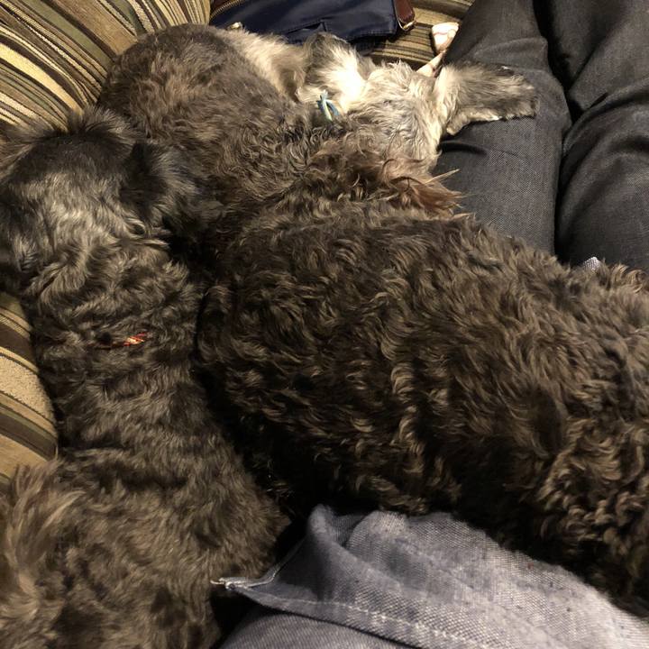 05cefd0c c980 4f13 a6e7 fba1f1ae9497 1541336807793