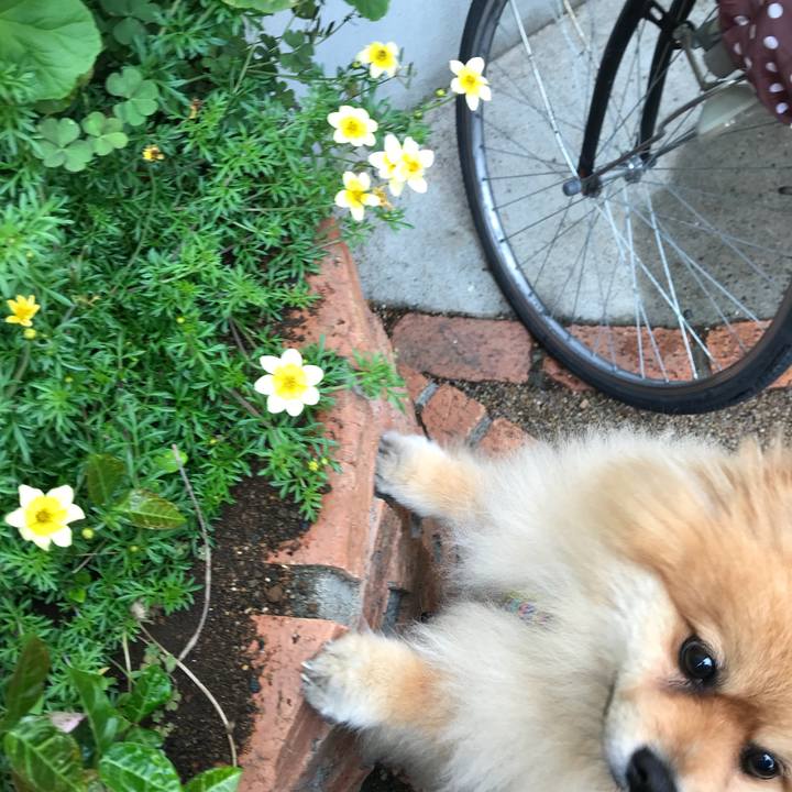 05cf31cf d749 4db6 9a6f 93c5c5d6ec4f 1525740886484