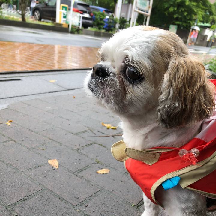 05cf371b 3401 474d 8978 de44257ecfd1 1563227122626