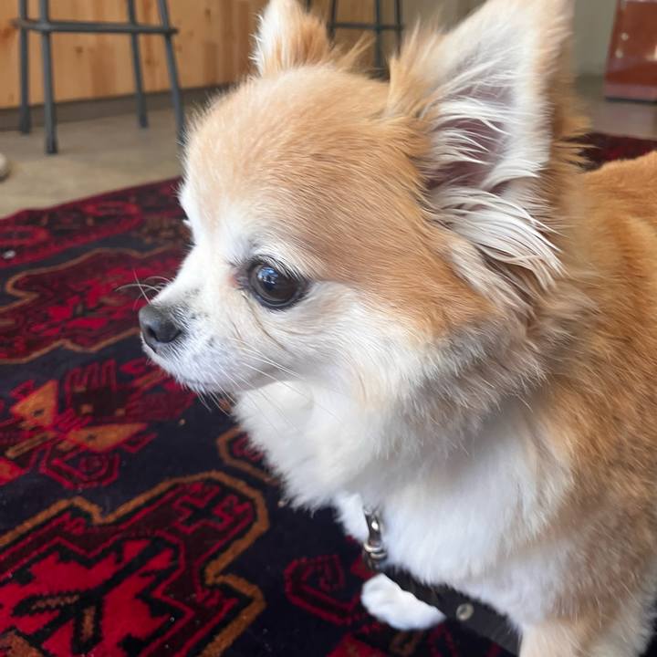 05cfb30f 3d8e 42ce 9a92 6b57613de3d8 1772725184602