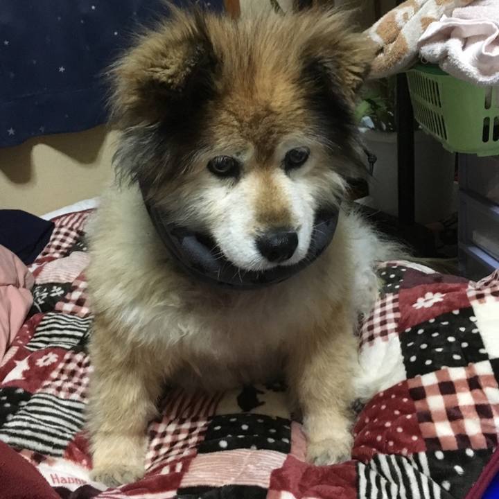 05cff54d b911 4b7b 9c03 6671fb57c114 1577775860612