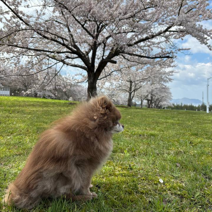 05d03474 9b4e 4a25 ad55 985b69f4af7b 1746432425470