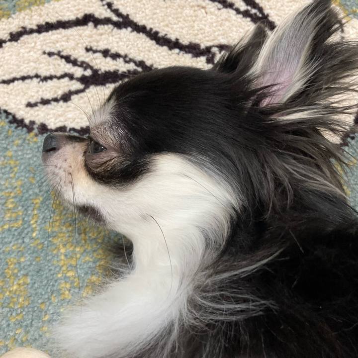 05d046d3 b378 4920 9949 6d62300295c0 1625376067867