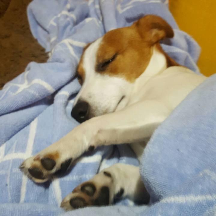 05d04f75 6aa3 4868 9954 f71a01bd52f3 1560173678964