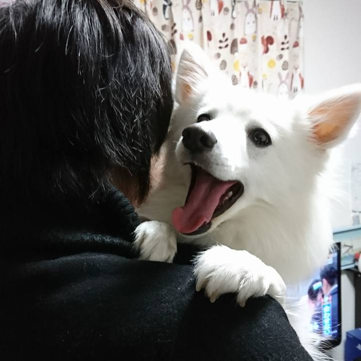 05d099d3 36da 4e6e b5dc 194a34e407a5 1516884414690