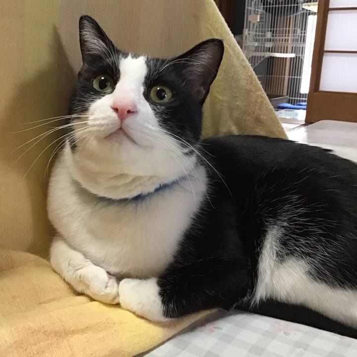 05d0ce73 3873 4894 b19b 3751c30706ec 1707210245102