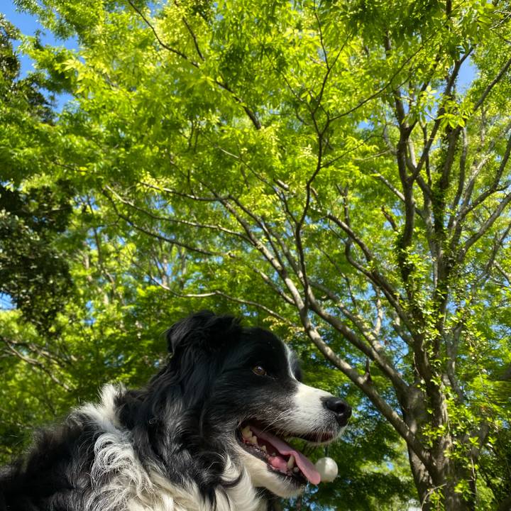 05d1296a b8c7 4cae 9b2c df9e641ada2e 1618968468092