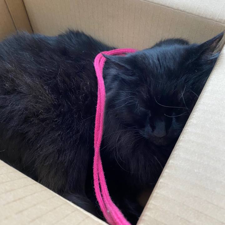 05d141b8 57d3 4b73 b6b1 12f70ae49088 1577447796554