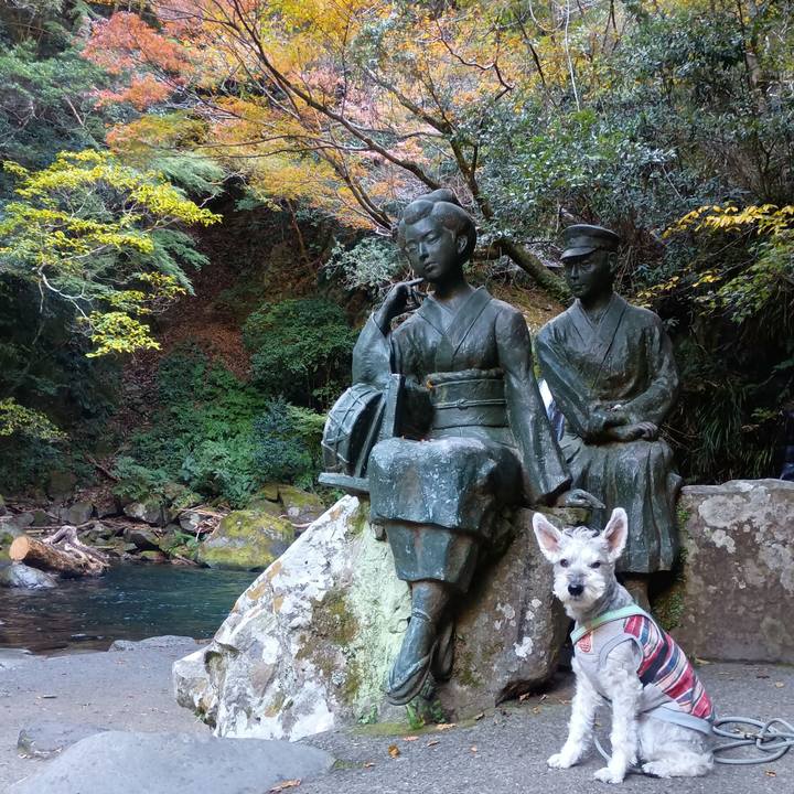 05d18089 22bc 4b5e 9b29 0e277f9e82d7 1764510084315