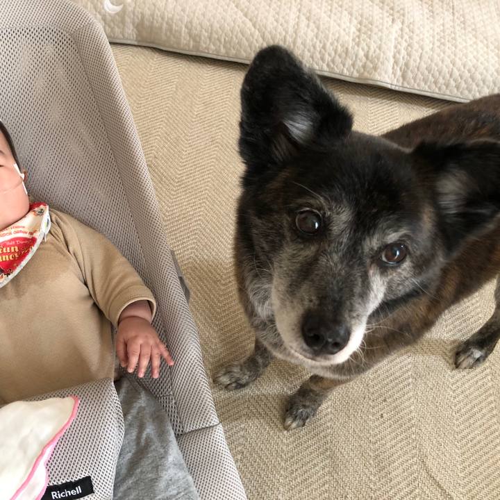 05d1de1e 3aae 49be 9757 f9945cc19cad 1711834185478