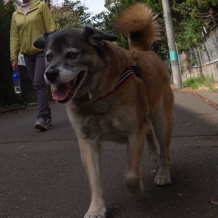 05d20a62 fbf2 44f6 bb40 b3dad2d0be7f 1602114193779