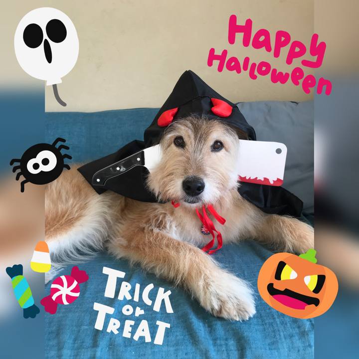 05d25a72 fe46 4c61 94eb 74724b0fd2dc 1635548246838