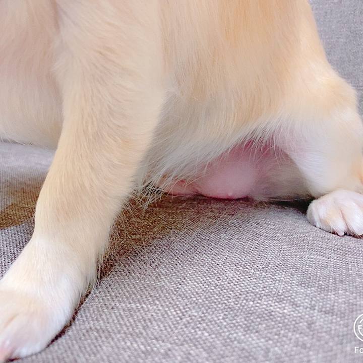 05d2b89b e66b 4b74 bd3f 834f6da060c2 1634708356067